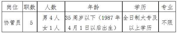 招聘崗位、職數及條件 